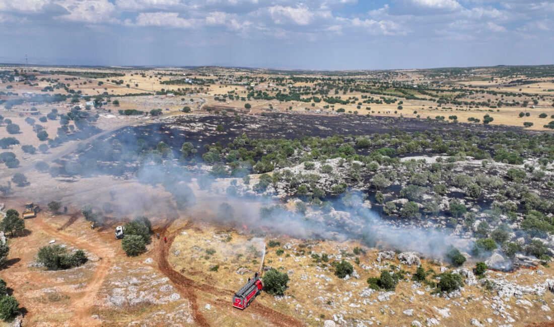DİYARBAKIR (AA) – Diyarbakır'ın Eğil ilçesi kırsalında çıkan örtü yangını