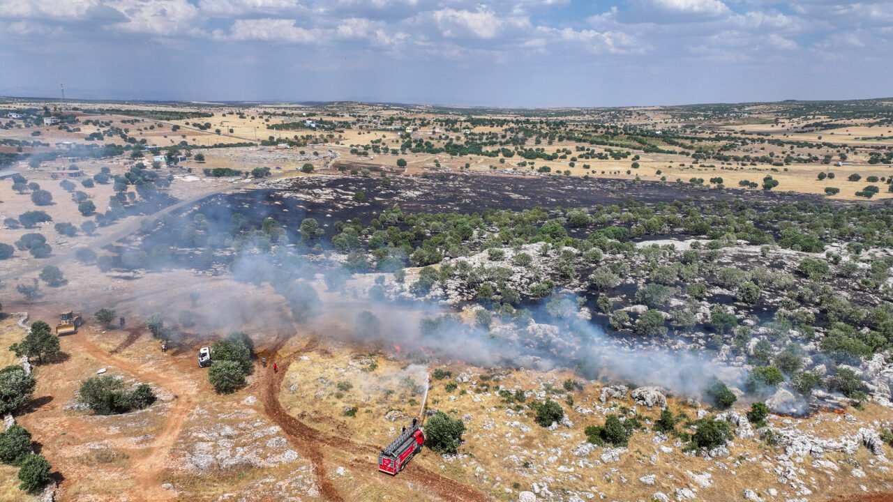 DİYARBAKIR (AA) – Diyarbakır'ın Eğil ilçesi kırsalında çıkan örtü yangını