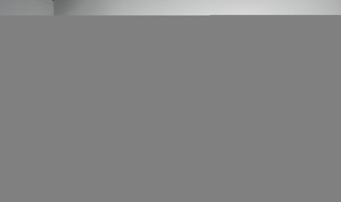 DÜSSELDORF (AA) – Almanya'nın Düsseldorf kentinde ilk kez düzenlenen "Türk
