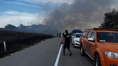 EDİRNE (AA) – Edirne'nin Uzunköprü ilçesinde anızda başlayıp ağaçlık alana