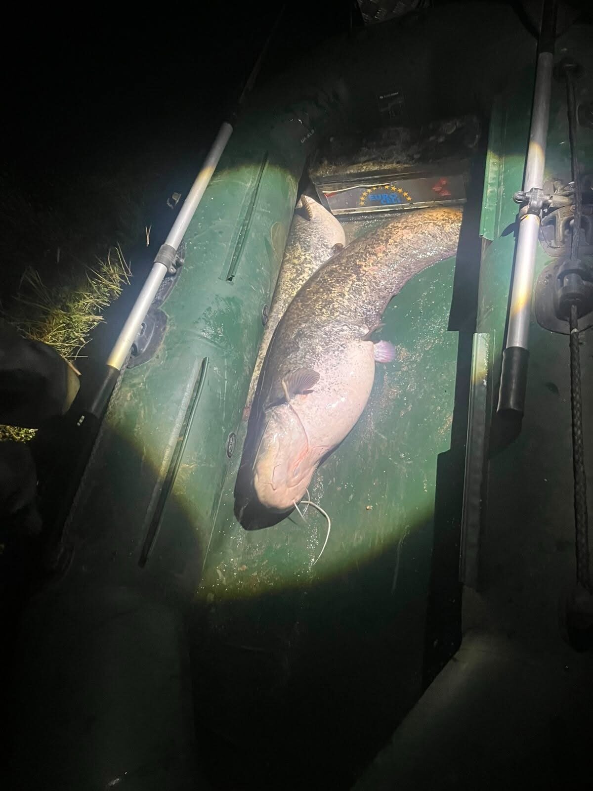 EDİRNE (AA) – Edirne'nin Süloğlu ilçesinde suya elektrik akımı vererek