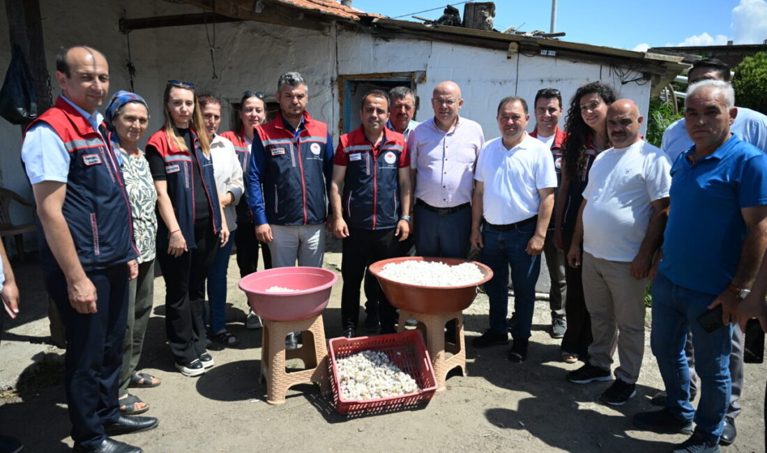 EDİRNE (AA) – Edirne'de İpek Böcekçiliğini Yaygınlaştırma Projesi kapsamında kadınlar