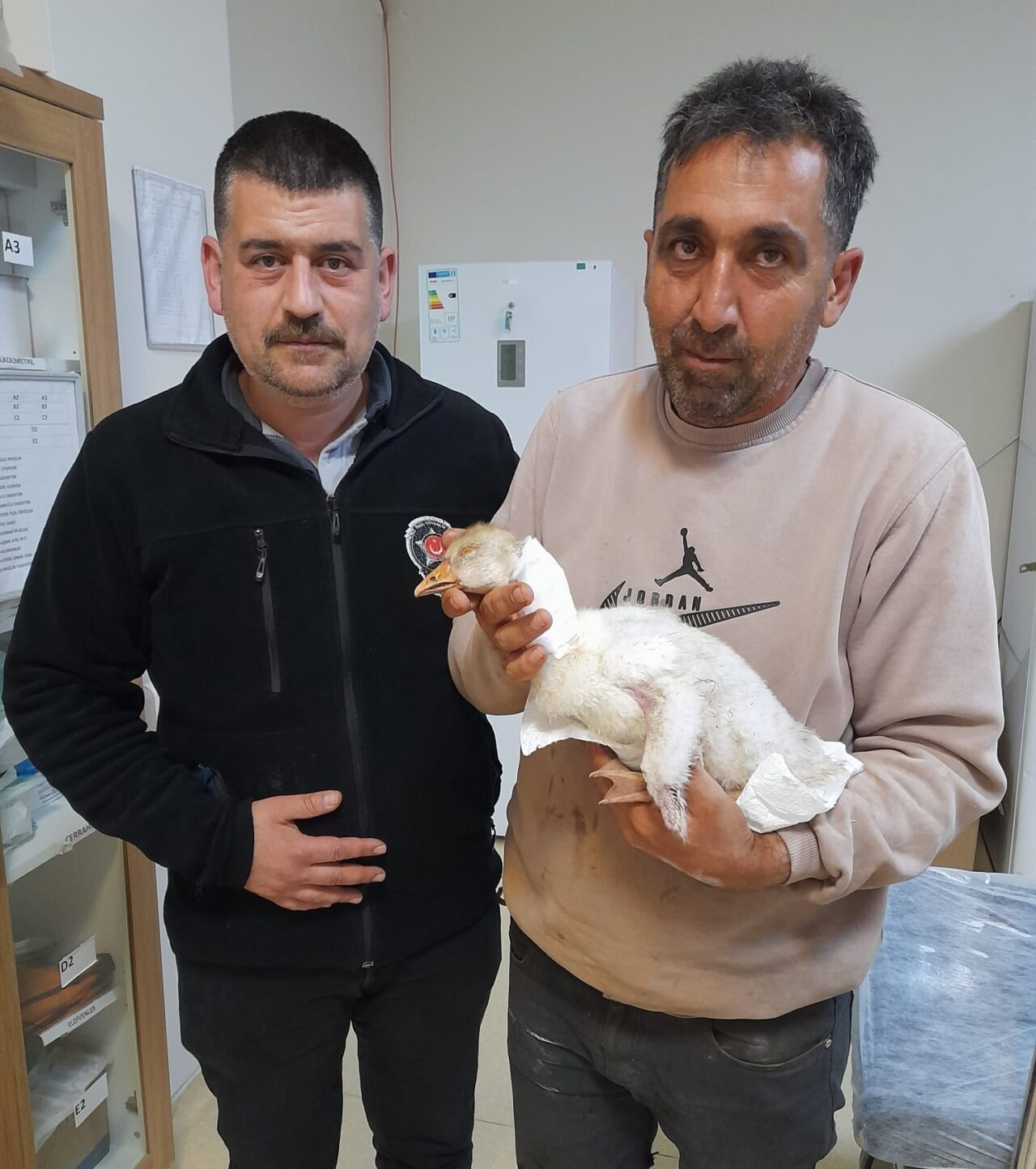 ELAZIĞ (AA) – Elazığ'ın Karakoçan ilçesinde atmaca saldırısında boynundan yaralanan