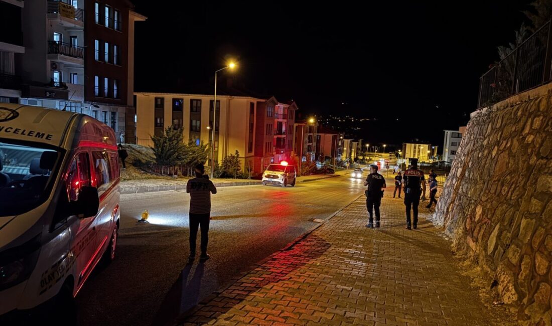 ELAZIĞ (AA) – Elazığ'da çıkan silahlı ve bıçaklı kavgada 2