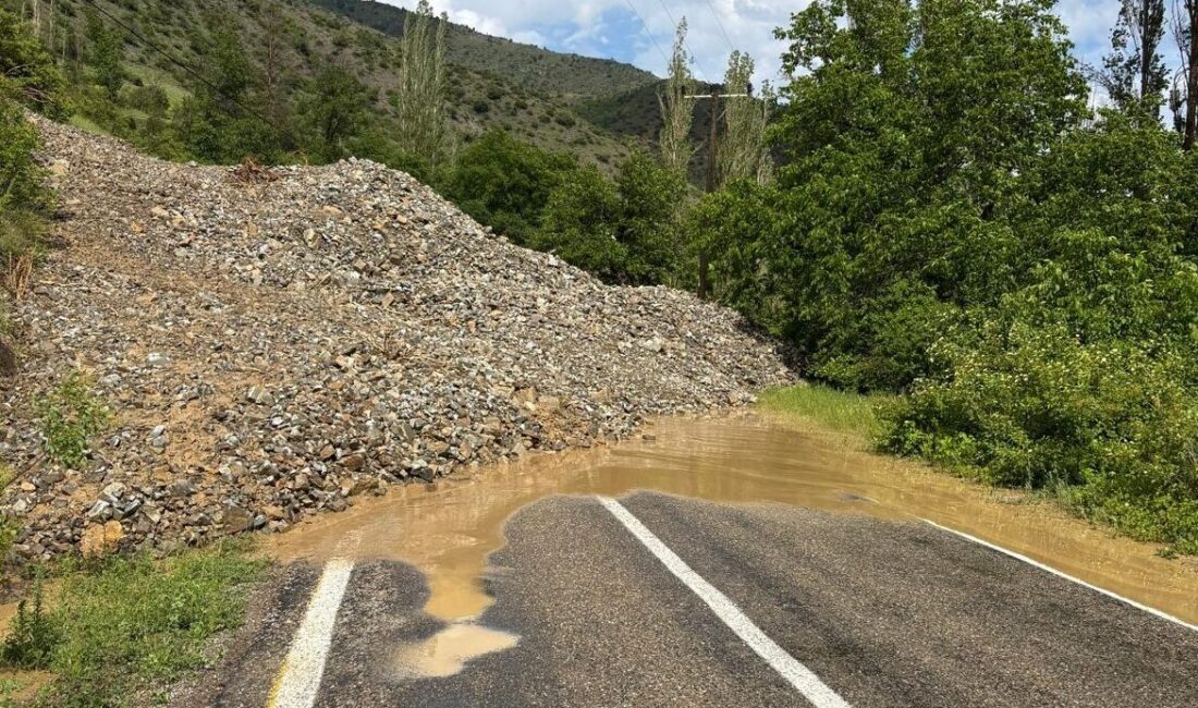 ERZURUM (AA) – Erzurum'un Tortum ilçesinde etkili olan sağanak yağışın