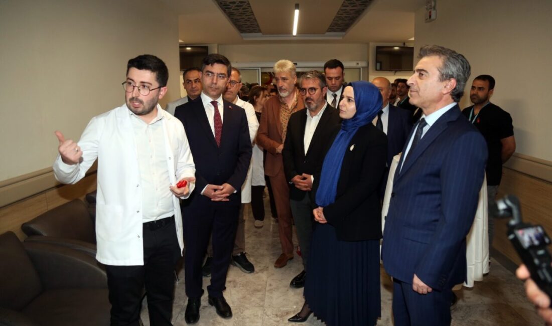 - Şehir hastanesindeki merkezde, çocuk psikiyatri uzmanı, bireysel hizmet danışmanı,
