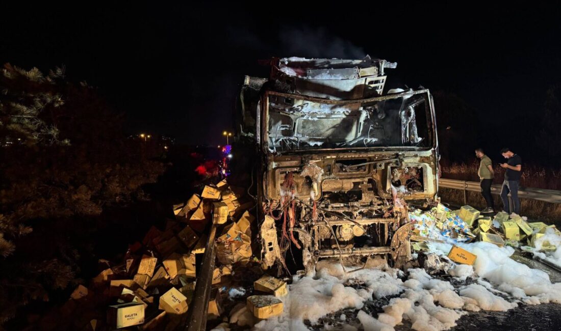 - Yangın nedeniyle TEM Otoyolu bağlantı yolu ulaşıma kapandı