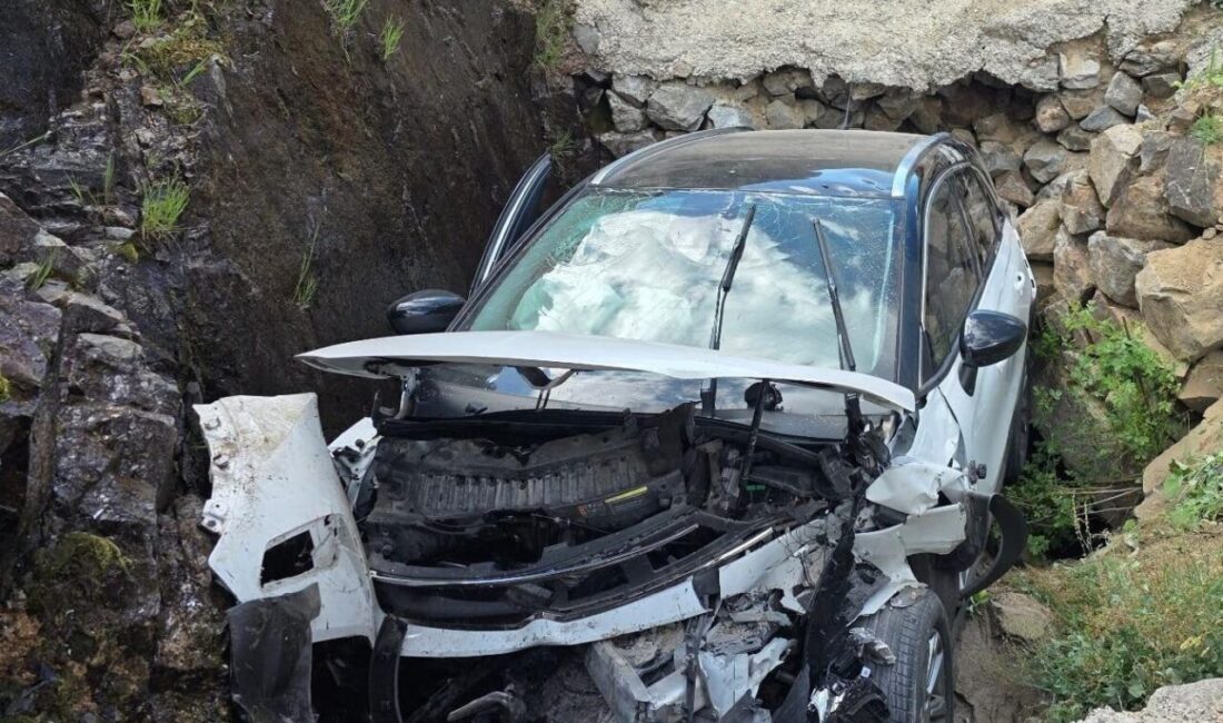 GİRESUN (AA) – Giresun'un Şebinkarahisar ilçesinde otomobilin kanala düşmesi sonucu