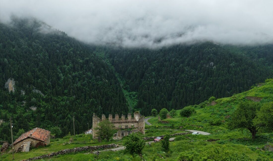 GÜMÜŞHANE (AA) – Gümüşhane'de 2 bin 140 rakımda yer alan
