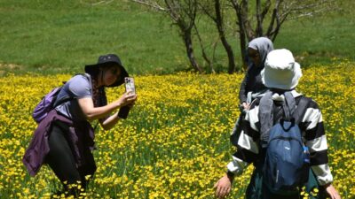 GÜMÜŞHANE (AA) – Gümüşhane'nin merkeze bağlı Sarıçiçek köyünde her yıl