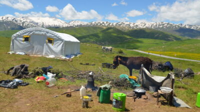MUŞ (AA) – Güneydoğu Anadolu Bölgesi'ndeki illerden Muş'a gelen göçer