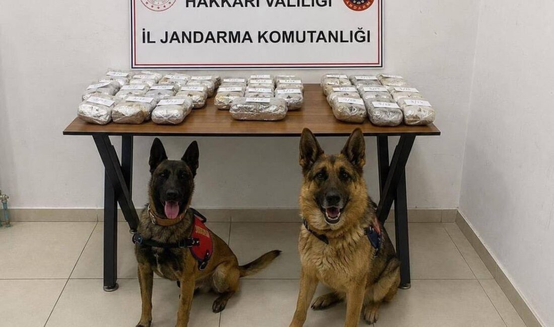 HAKKARİ (AA) – Hakkari'nin Şemdinli ilçesinde bir araçta 21 kilo