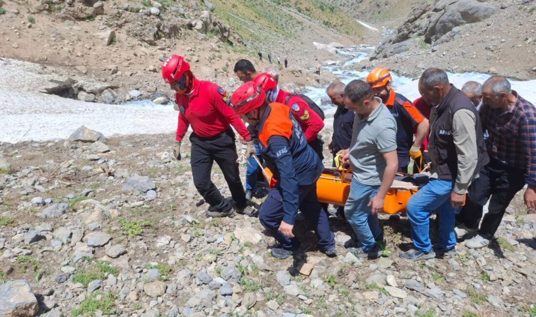 HAKKARİ (AA) – Hakkari'de ot toplamak için gittiği vadide kayalık