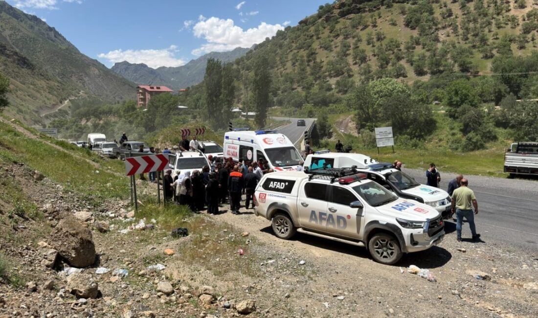 HAKKARİ (AA) – Hakkari'de dağlık alanda yılanın ısırdığı bir kişi