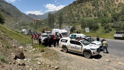 HAKKARİ (AA) – Hakkari'de dağlık alanda yılanın ısırdığı bir kişi