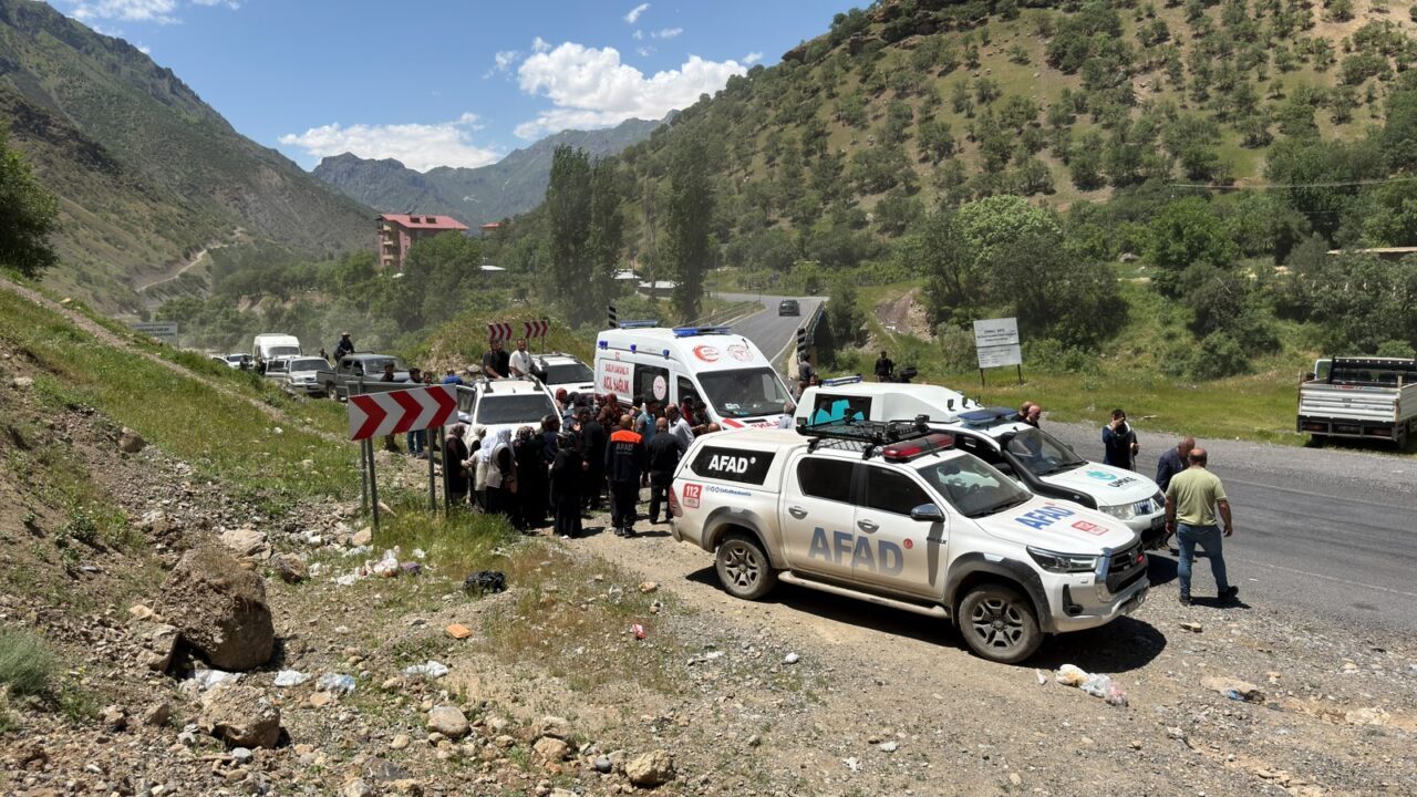 HAKKARİ (AA) – Hakkari'de dağlık alanda yılanın ısırdığı bir kişi