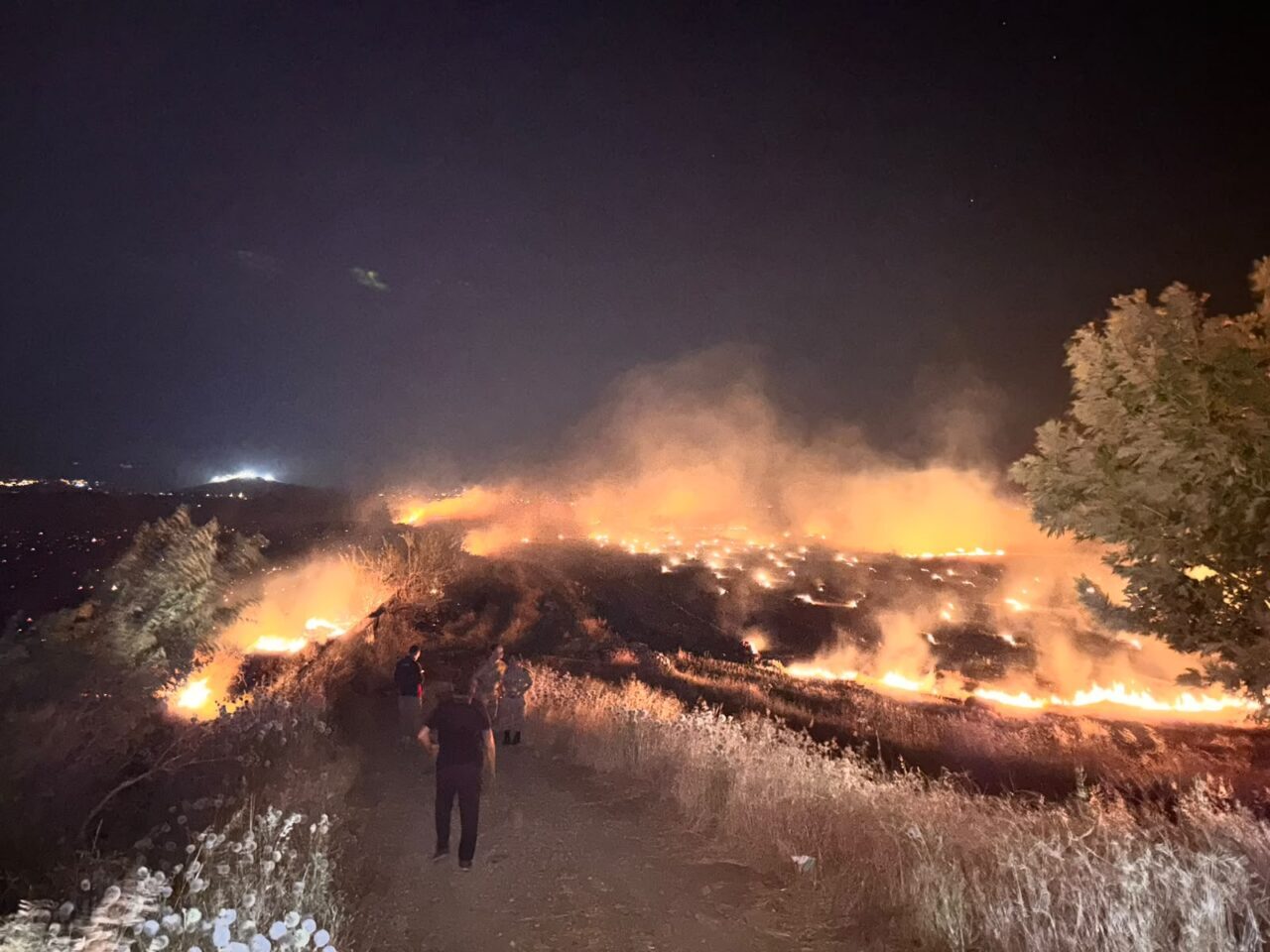 HATAY (AA) – Hatay'ın Kırıkhan ilçesinde anız yakılmasıyla başlayan ve