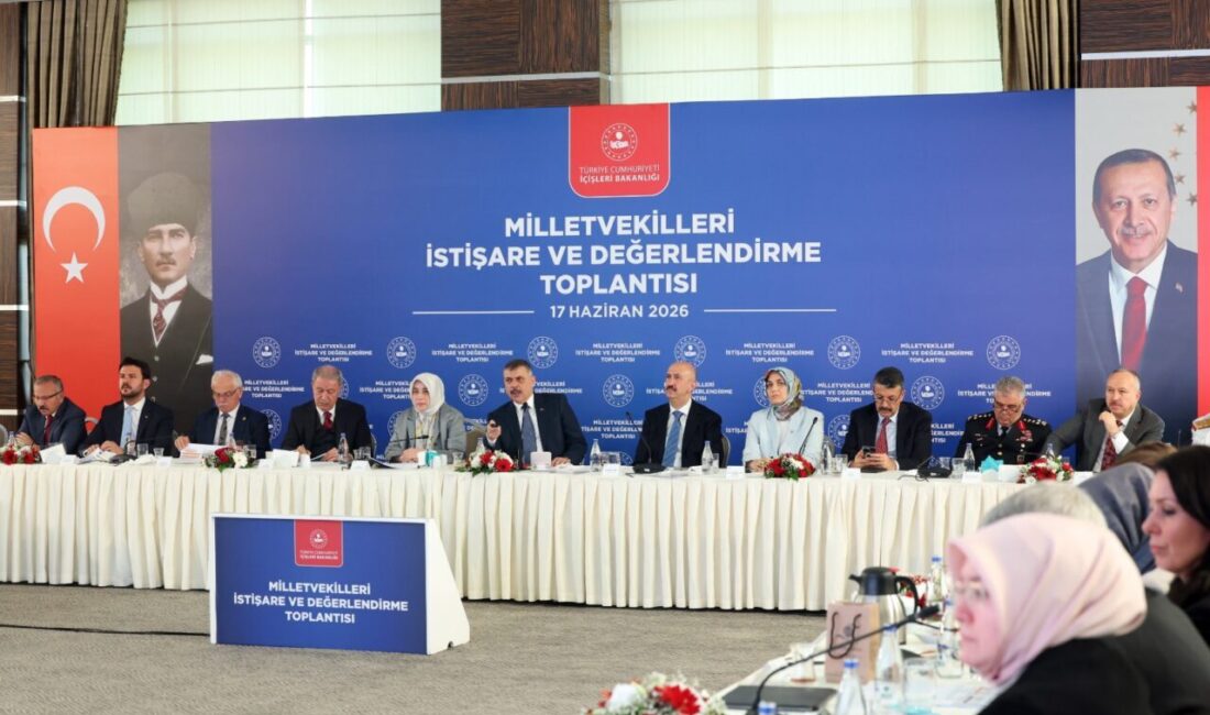 - "(Sahipsiz sokak hayvanları) Yasa 2028'e kadar süre tanıdığı için