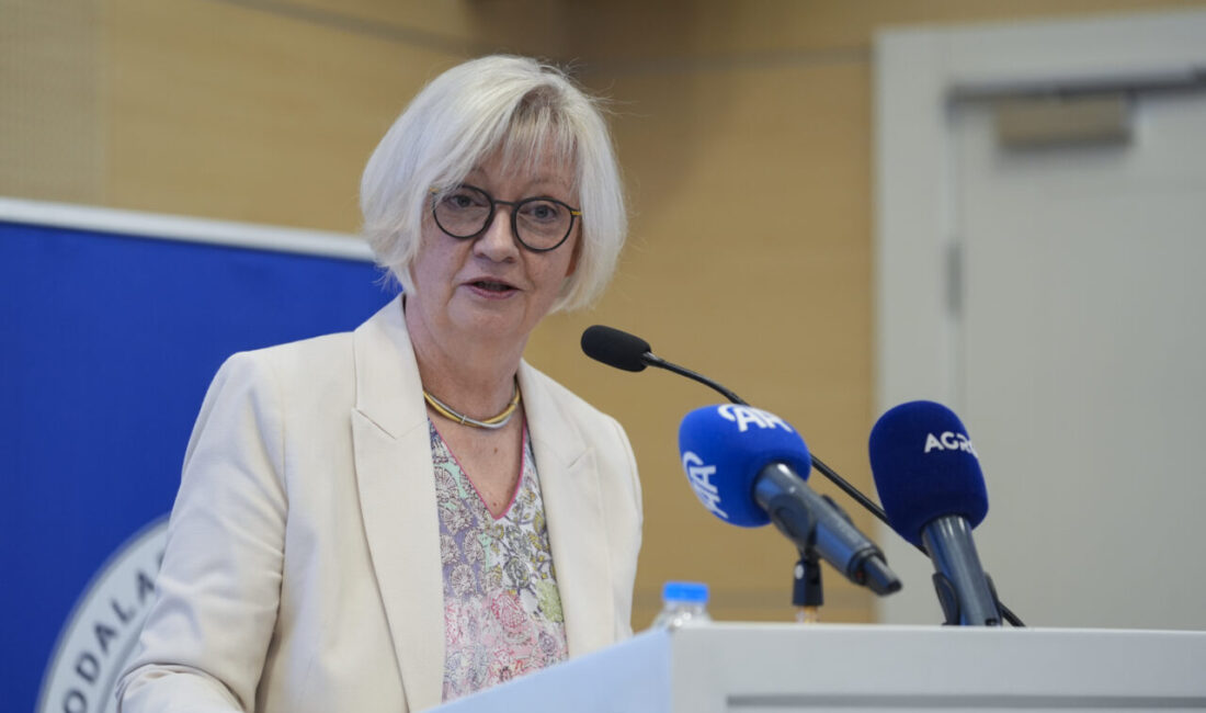 - Almanya'nın Ankara Büyükelçisi Sibylle Katharina Sorg:
- "Uzmanlara göre 2030
