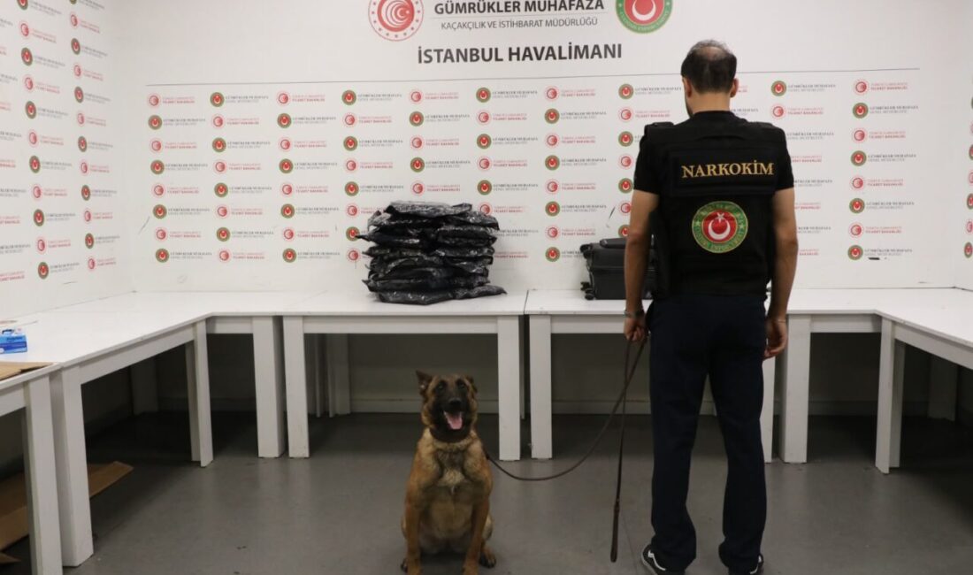 İSTANBUL (AA) – İstanbul Havalimanı'nda düzenlenen operasyonda, valizinde 22 kilo