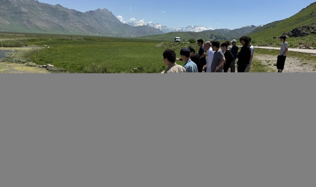 HAKKARİ (AA) – Milli Eğitim Bakanlığı Din Öğretimi Genel Müdürlüğünce
