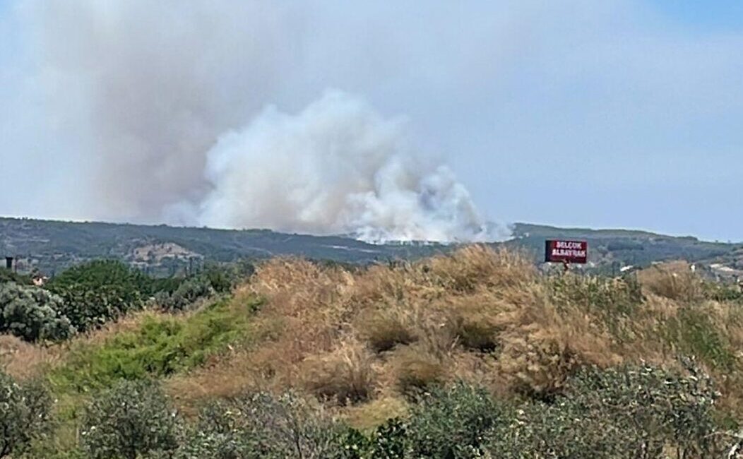 İZMİR (AA) – İzmir'in Çeşme ilçesinde çöplükten makilik alan sıçrayan