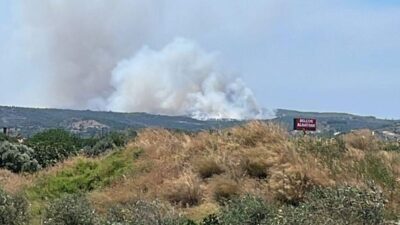 İZMİR (AA) – İzmir'in Çeşme ilçesinde çöplükten makilik alan sıçrayan