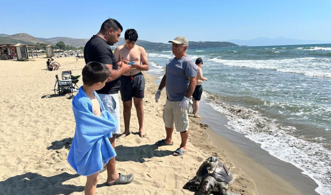 İZMİR (AA) – İzmir'in Selçuk ilçesinde sahilde yüzgecine parke taşı
