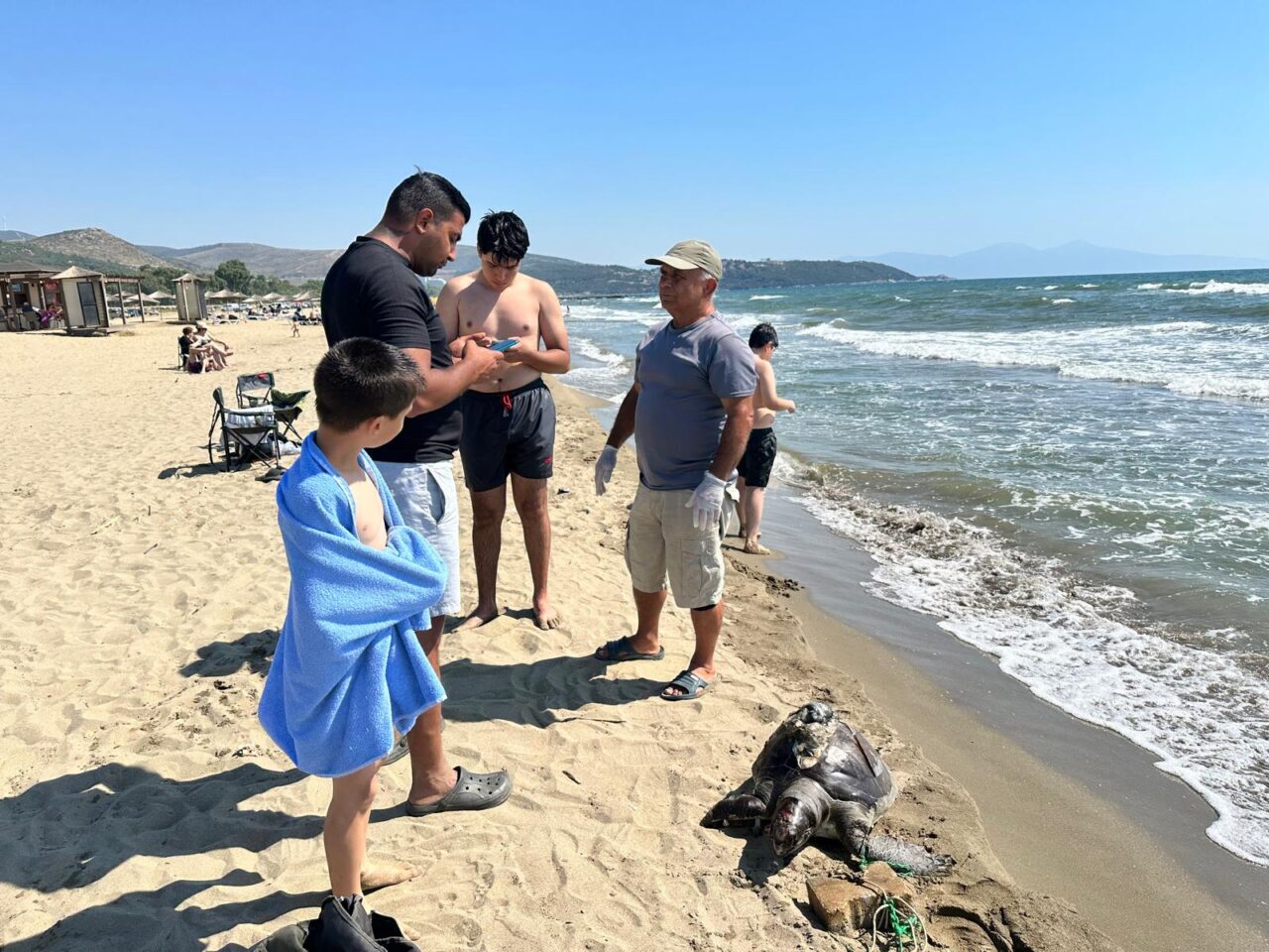 İZMİR (AA) – İzmir'in Selçuk ilçesinde sahilde yüzgecine parke taşı