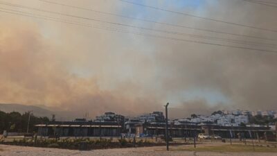 İZMİR (AA) – İzmir'in Dikili ilçesinde ziraat alanında başlayıp makilik