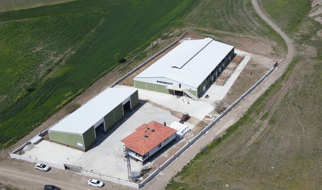 ÇORUM (AA) – Çorum'da yaşayan mimar Serap Yıldırım, Tarım ve