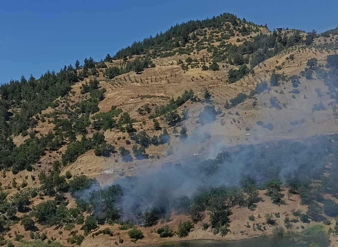 KAHRAMANMARAŞ (AA) – Kahramanmaraş'ın Onikişubat ilçesinde çıkan orman yangını ekiplerin
