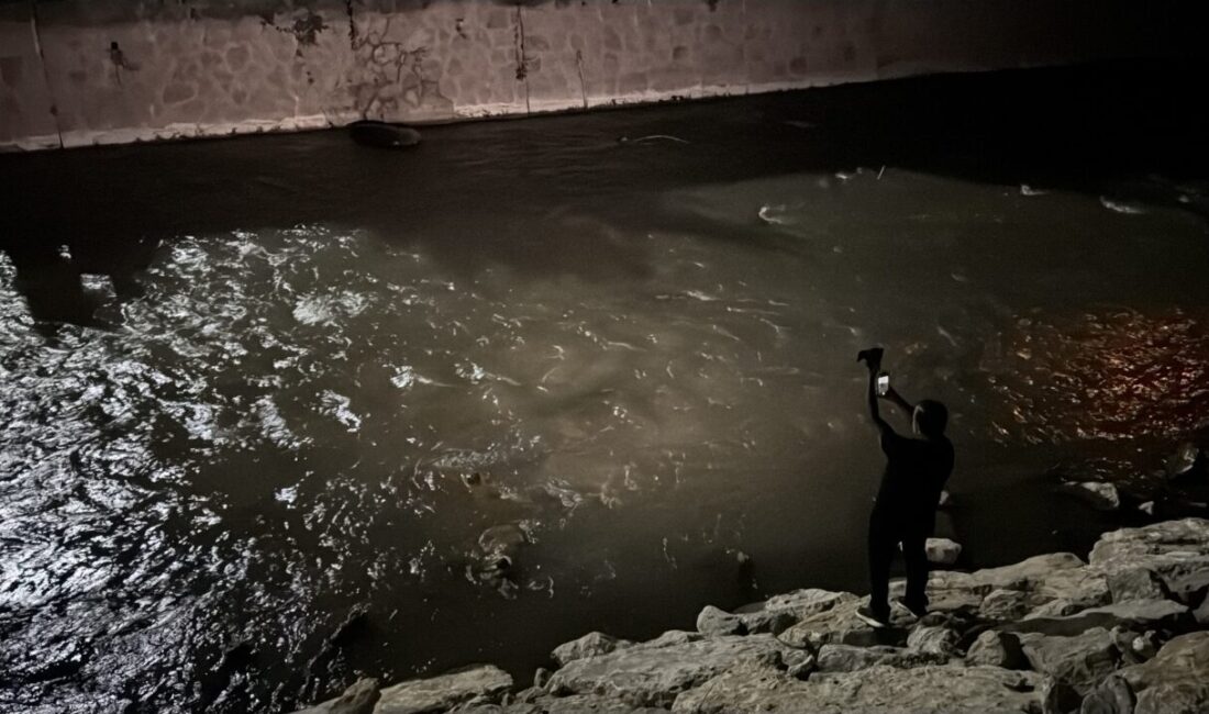 KARABÜK (AA) – Karabük'te tünelde otomobilin çarptığı bozayı yaralandı. N.K.