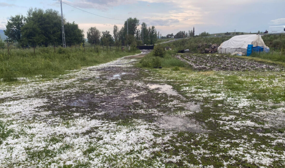 KARS/ERZURUM (AA) – Kars'ta dolu, Erzurum'da sağanak yaşamı olumsuz etkiledi.