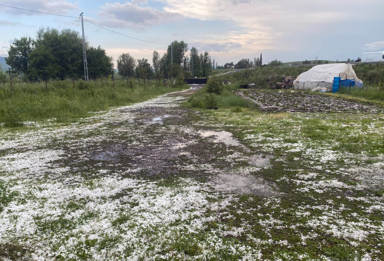 KARS/ERZURUM (AA) – Kars'ta dolu, Erzurum'da sağanak yaşamı olumsuz etkiledi.