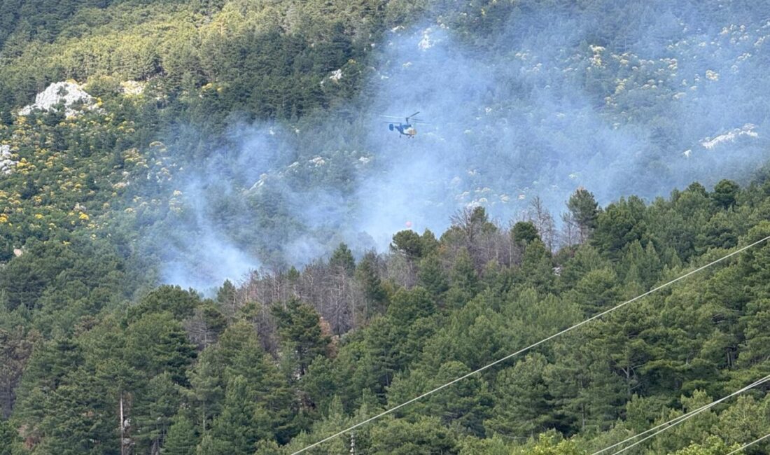 ANTALYA (AA) – Antalya'nın Kaş ilçesinde ormanlık alanda çıkan yangına