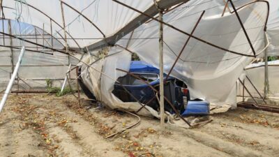 ANTALYA (AA) – Antalya'nın Kaş ilçesinde seraya devrilen otomobildeki 3