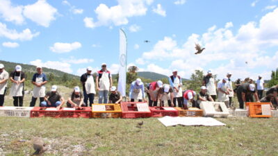 KASTAMONU (AA) – Kastamonu'da yaban hayatının desteklenmesi ve biyolojik mücadele