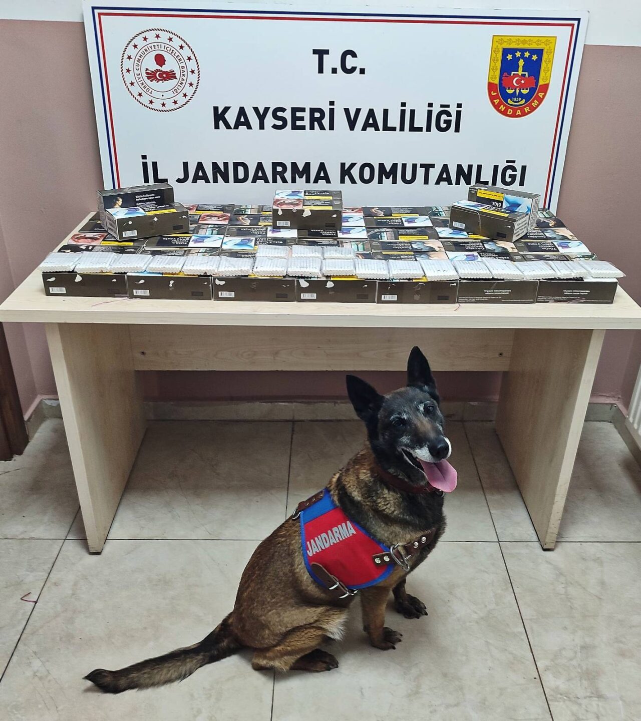 KAYSERİ (AA) – Kayseri'nin Pınarbaşı ilçesinde, jandarma ekipleri, 10 bin