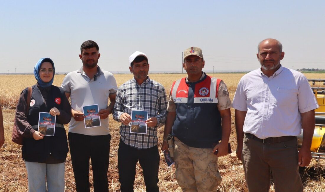 KİLİS (AA) – Kilis'te jandarma ekipleri, anız yangınlarının önlenmesi amacıyla