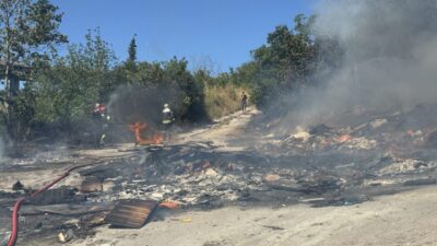 KOCAELİ (AA) – Kocaeli'nin İzmit ilçesinde ağaçlık ve makilik alanda