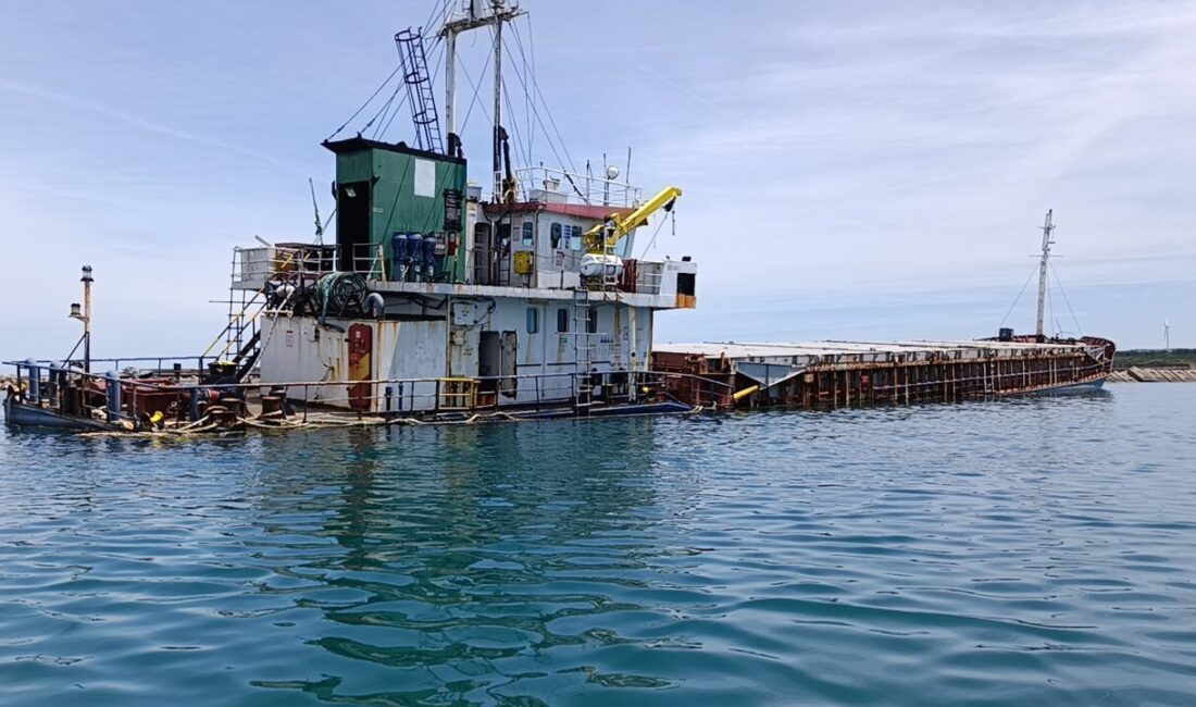KOCAELİ (AA) – Kocaeli'nin Kandıra ilçesi açıklarında geçen yıl karaya