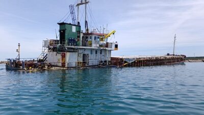 KOCAELİ (AA) – Kocaeli'nin Kandıra ilçesi açıklarında geçen yıl karaya