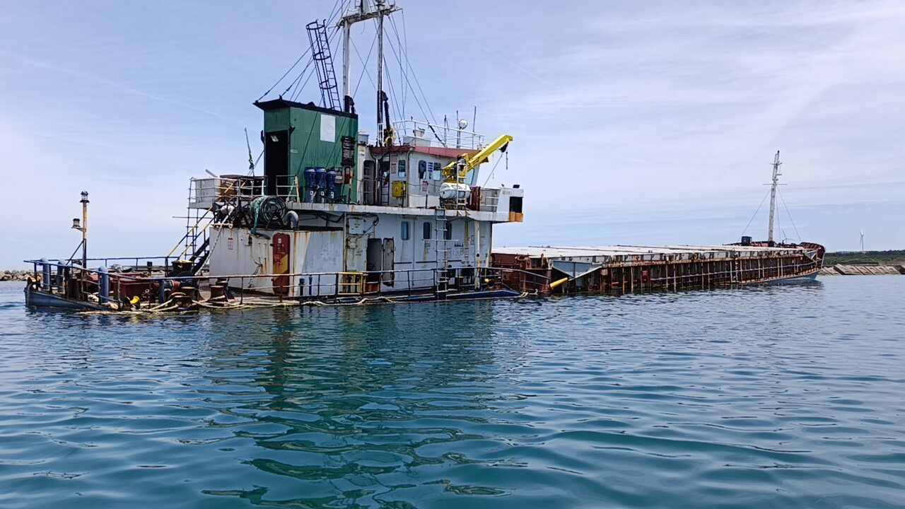 KOCAELİ (AA) – Kocaeli'nin Kandıra ilçesi açıklarında geçen yıl karaya