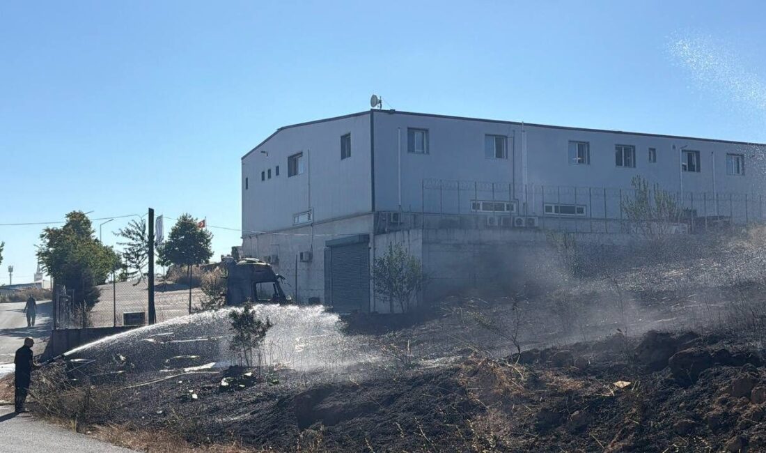 KOCAELİ (AA) – Kocaeli'nin Çayırova ilçesinde makilik alanda çıkan yangın