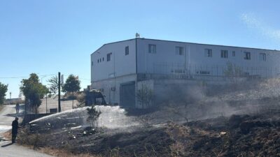 KOCAELİ (AA) – Kocaeli'nin Çayırova ilçesinde makilik alanda çıkan yangın