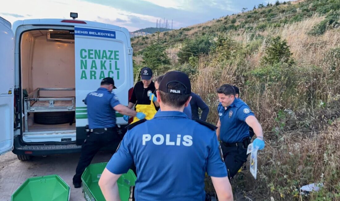 KOCAELİ (AA) – Kocaeli'nin Gebze ilçesinde ormanlık alanda erkek cesedi