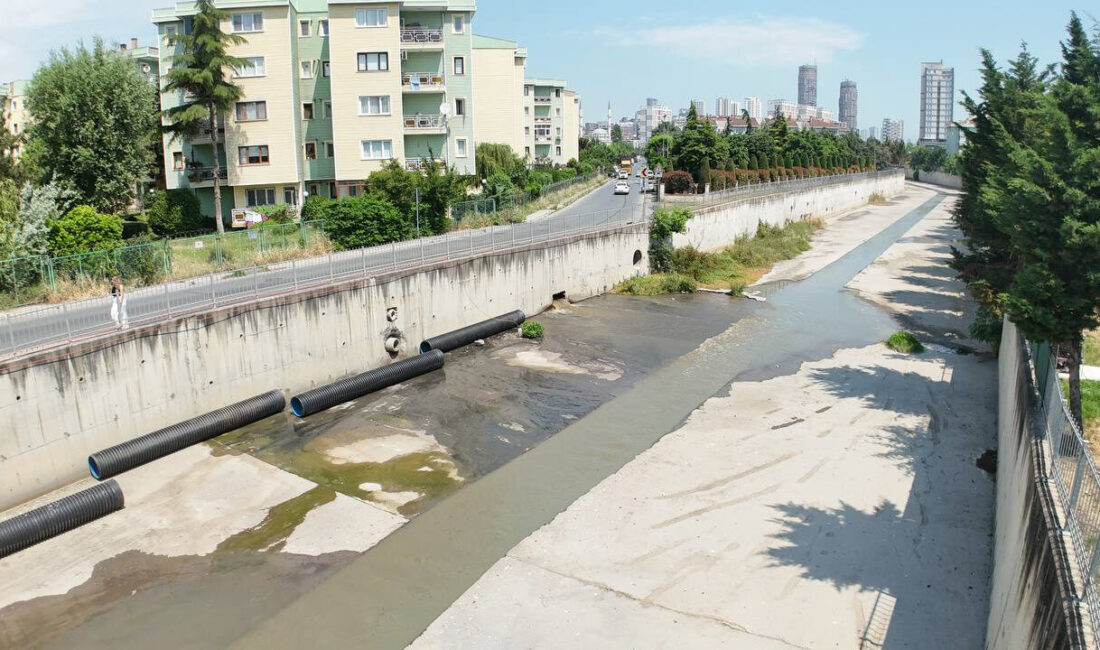 İSTANBUL (AA) – Küçükçekmece'de dereye karışan kirli su kötü kokuya