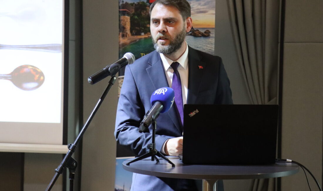 ÜSKÜP (AA) – Kuzey Makedonya'nın başkenti Üsküp'te, basın mensuplarına "Türk