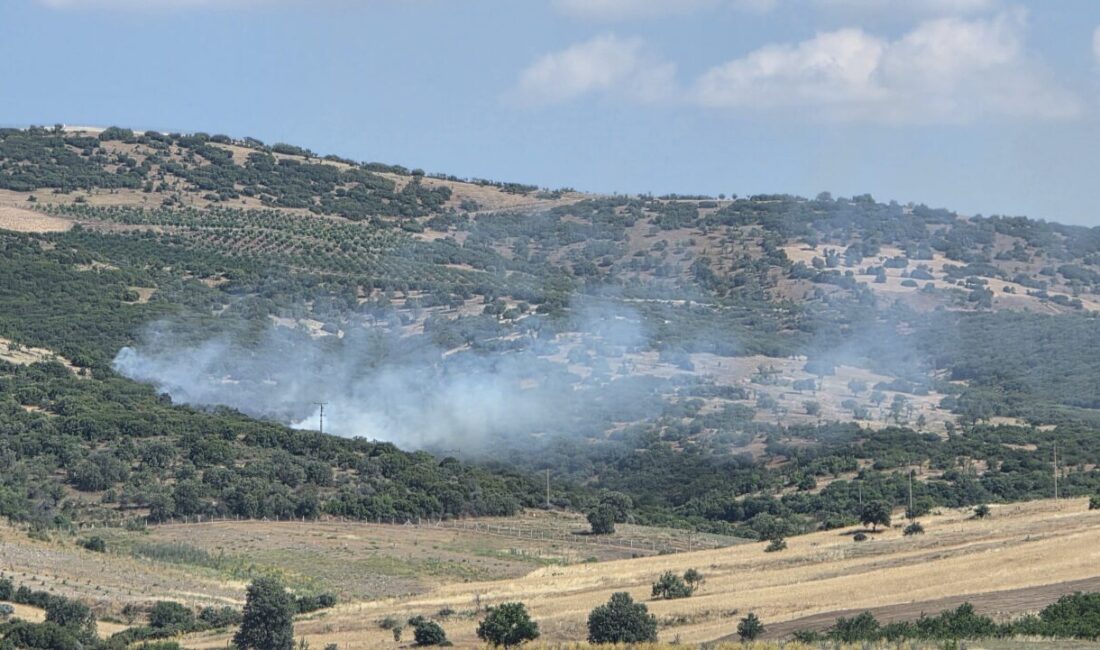 MANİSA (AA) – Manisa'nın Kula ilçesinde makilik alanda çıkan yangın